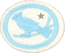 Aves II